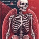 Locomotor Anatomy (Non Arabs)